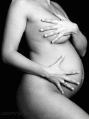 Gravid